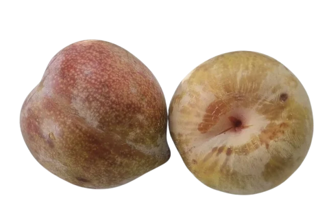 alt
